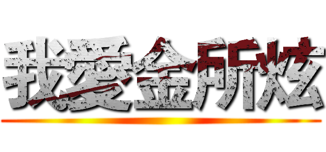 我愛金所炫 ()