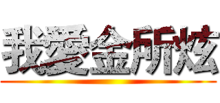我愛金所炫 ()