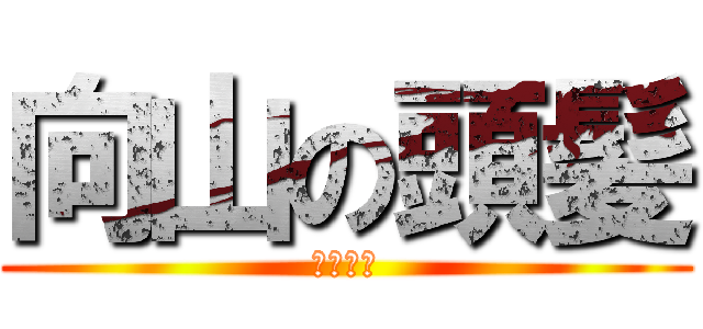 向山の頭髪 (ＨＡＧＥ)