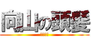 向山の頭髪 (ＨＡＧＥ)