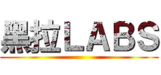 黑拉ＬＡＢＳ ()