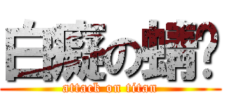 白癡の蜻蜓 (attack on titan)