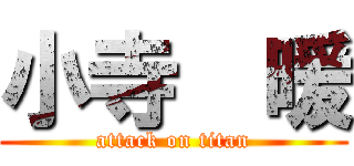 小寺  暖 (attack on titan)