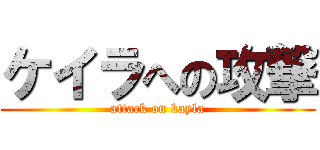 ケイラへの攻撃 (attack on kayla)