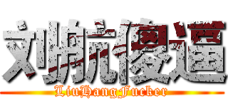 刘航傻逼 (LiuHangFucker)