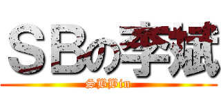 ＳＢの李斌 (SBBin)