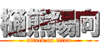 樋熊陽向 (attack on titan)