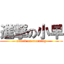 進撃の小早 (attack on morning)