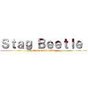 Ｓｔａｇ Ｂｅｅｔｌｅ  (attack on kabukuwa)