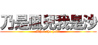 乃是風兒我是沙 (What the hell!)