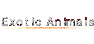 Ｅｘｏｔｉｃ Ａｎｉｍａｌｓ (Valerie, Genesis, Stephanie and Aryani)