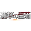 進撃の巨茄 (今日取れたて)