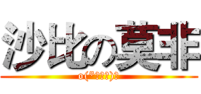 沙比の莫非 (o(*≧▽≦)ツ)