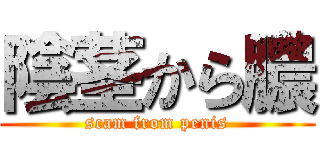 陰茎から膿 (scam from penis)