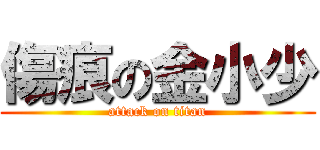 傷痕の金小少 (attack on titan)