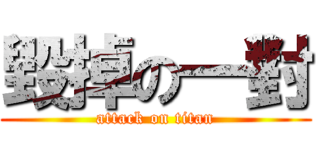 毀掉の一對 (attack on titan)