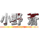 小野 蒼 (aotonpa)