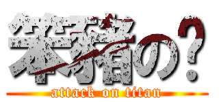 笨豬の燊 (attack on titan)