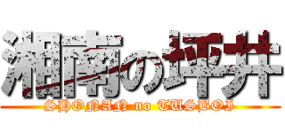 湘南の坪井 (SHONAN no TUSBOI)