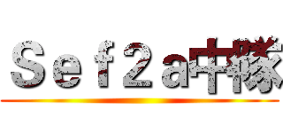 Ｓｅｆ２ａ中隊 ()