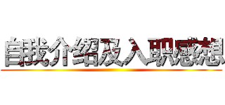 自我介绍及入职感想 ()