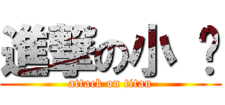 進撃の小 憨 (attack on titan)