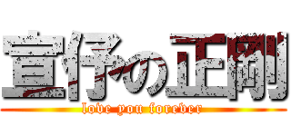 宣伃の正剛 (love you forever)