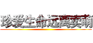 珍爱生命远离卖萌 ()