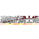 進擊的騎士姬 ()