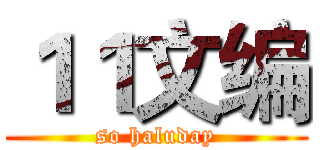 １１文编 (so haluday)