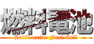 燃料電池 (Solid oxide Fuel Cell)