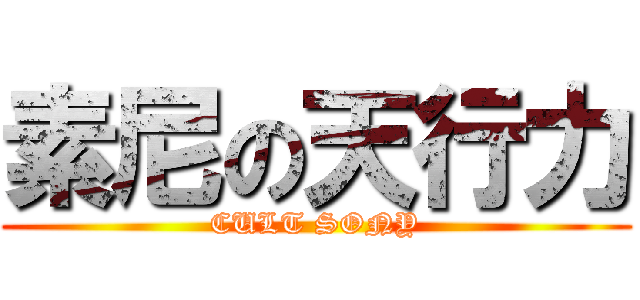 素尼の天行力 (CULT SONY)