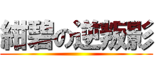 紺碧の逆叛影 ()