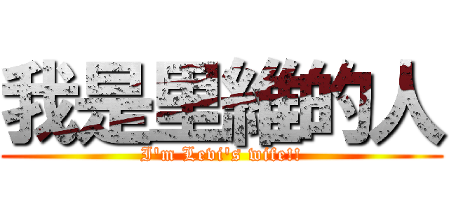 我是里維的人 (I'm Levi's wife!!)