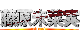 藤原未菜実 (minami )