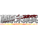 藤原未菜実 (minami )