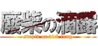 廢柴の滴露 (stupid on dick lung)