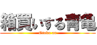 箱買いする青亀 (Otoku an)
