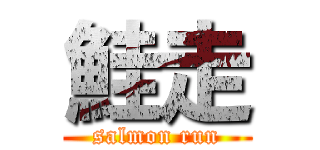 鮭走 (salmon run)