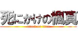 死にかけの楓真 (attack on titan)