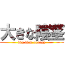 大きな陰茎 (big dick energy)