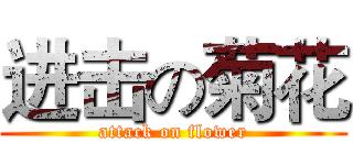 进击の菊花 (attack on flower)