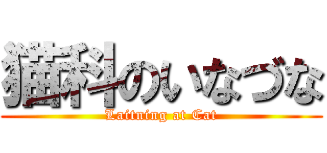 猫科のいなづな (Laitning at Cat)