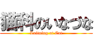 猫科のいなづな (Laitning at Cat)