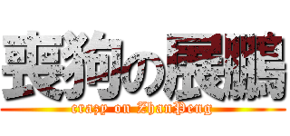 喪狗の展鵬 (crazy on ZhanPeng)