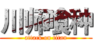 川师喰种 (attack on titan)