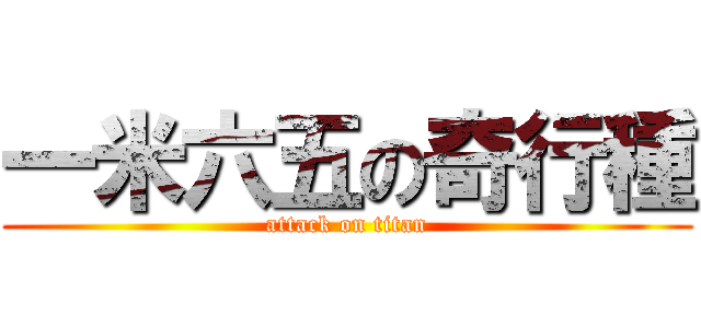 一米六五の奇行種 (attack on titan)
