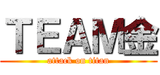 ＴＥＡＭ金 (attack on titan)