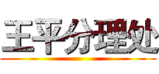 王平分理处 ()