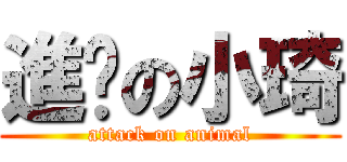 進擊の小琦 (attack on animal)